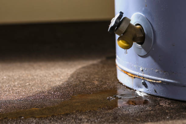Best Flood restoration services  in Hurricane, WV