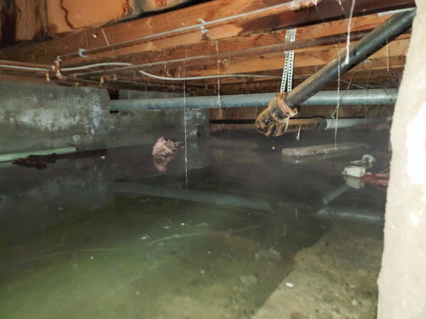 Best Water damage contractors near me  in Hurricane, WV