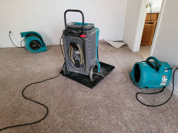 Best Carpet water damage restoration  in Hurricane, WV