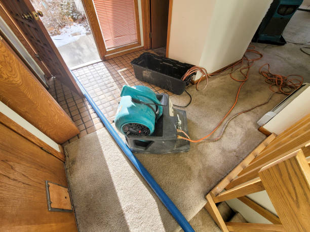 Best Flooded house restoration  in Hurricane, WV