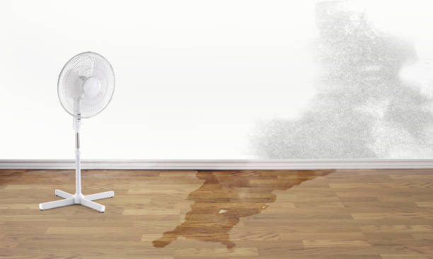 Best 24-hour water damage restoration  in Hurricane, WV