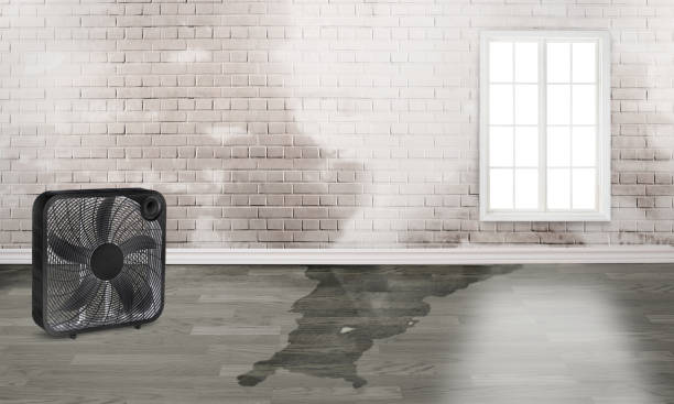 Reliable Hurricane, WV Water damage restoration Solutions