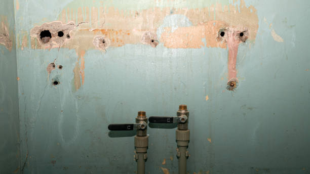 Best 24/7 water damage repair  in Hurricane, WV