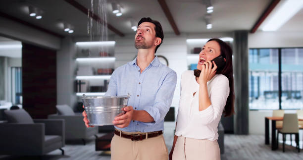 Best Local water damage restoration  in Hurricane, WV