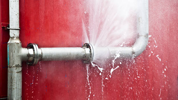 Best Water damage restoration mold remediation  in Hurricane, WV